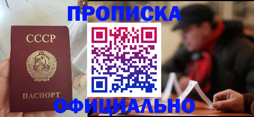 временная регистрация для школы в Сольцах